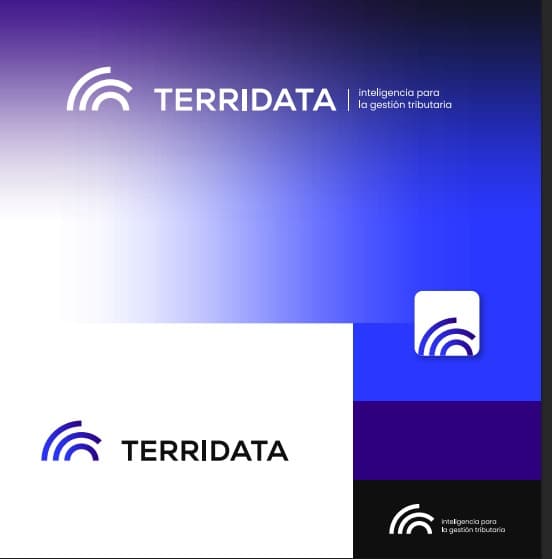 TerriData - Inteligencia para la gestión tributaria